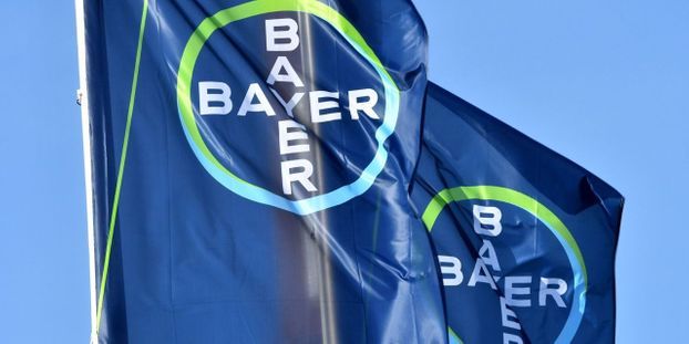 Allianz zwischen Bayer und CureVac zur Entwicklung eines Impfstoffs