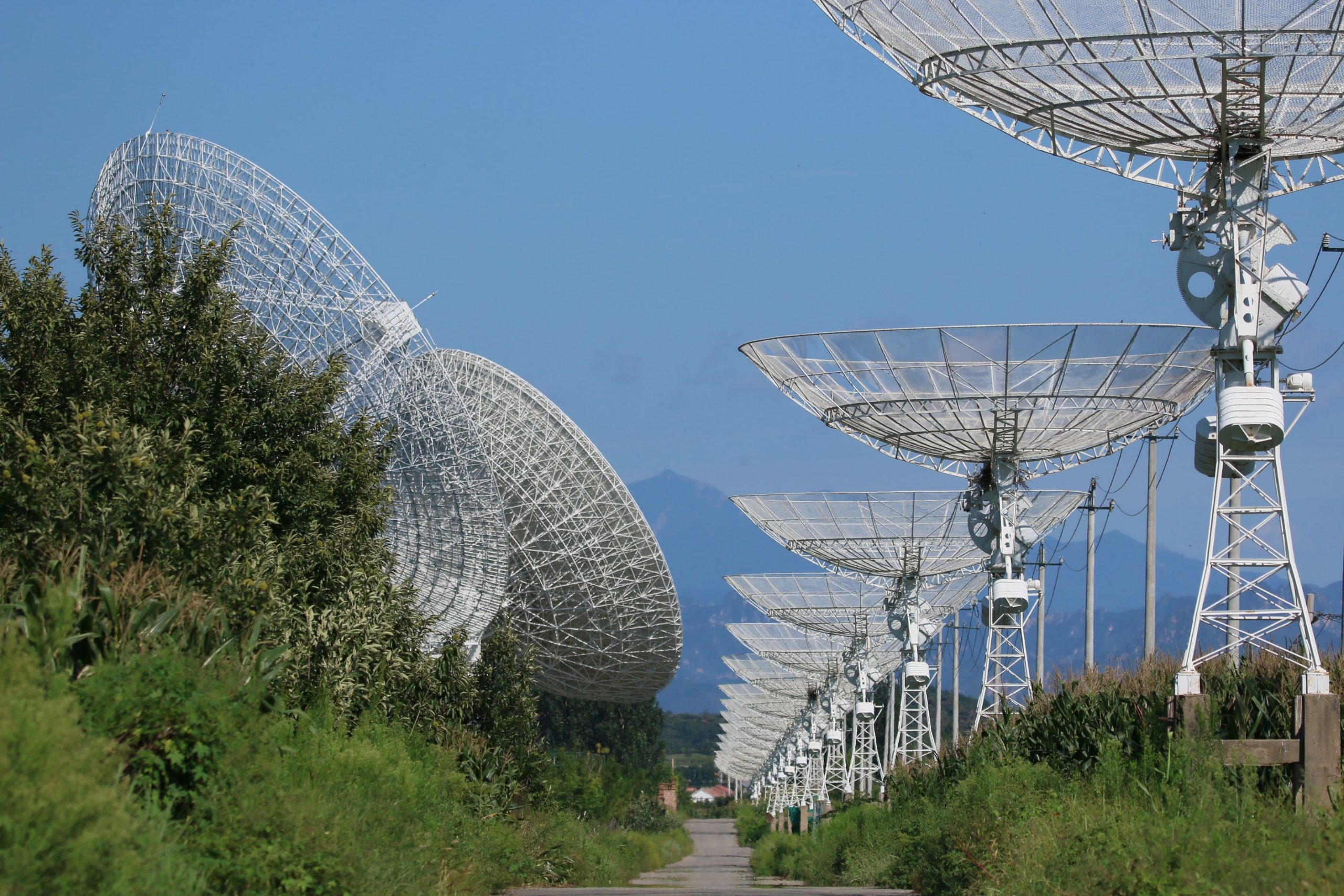 Das französische Dorf, das Elon Musks Traum vom Internet aus dem Weltall blockiert
