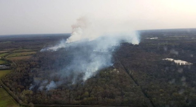 Gironde: Waldbrand von Avensan endlich unter Kontrolle – 290 Hektar Wald wurden zerstört