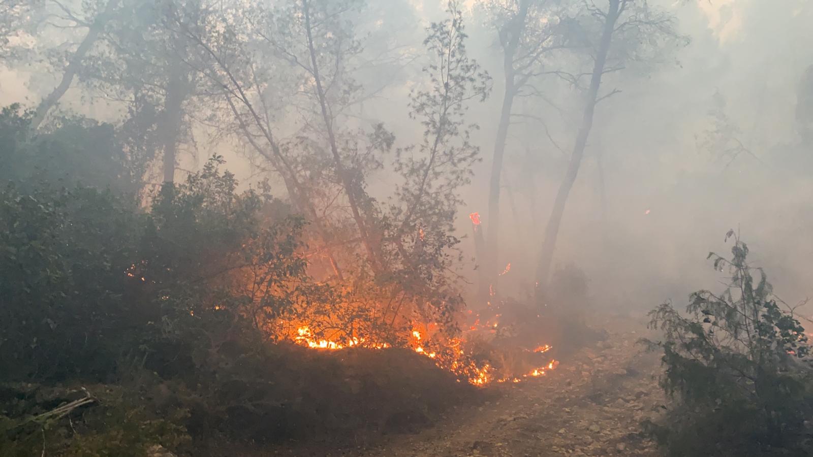 Spektakulärer Brand in der Nähe von Marseille, 150 Menschen werden evakuiert