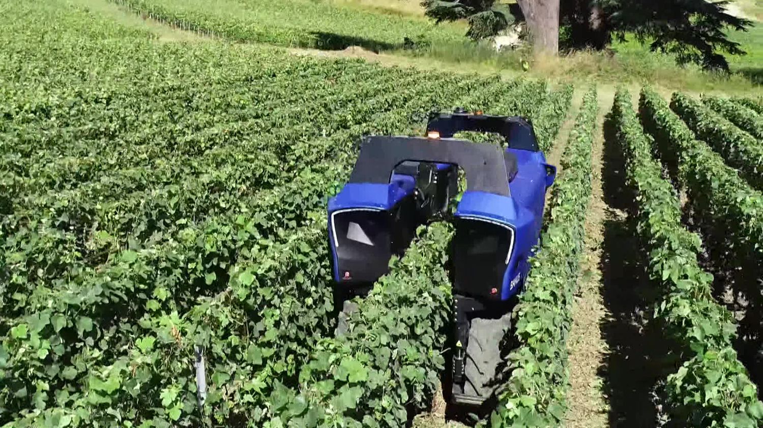 Ein erster 100% autonomer Roboter ersetzt die Arbeiter in den Weinbergen der Provence