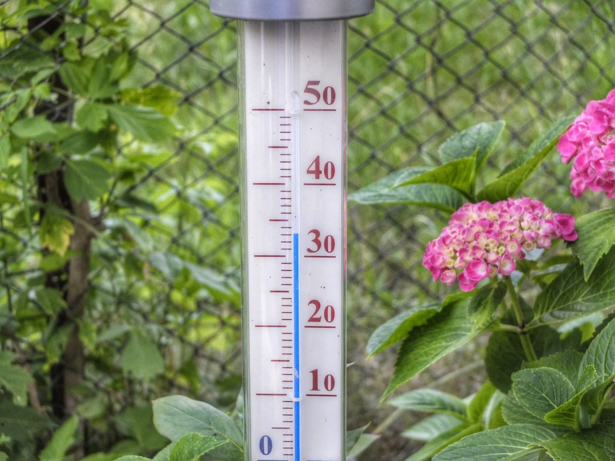 Thermometer