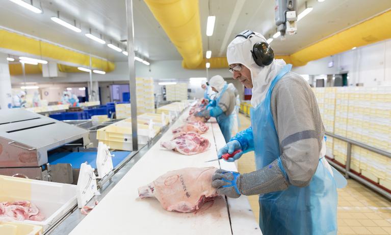 Coronavirus: Schweinezuchtgenossenschaft will Mitarbeitern Bonus für die Impfung zahlen