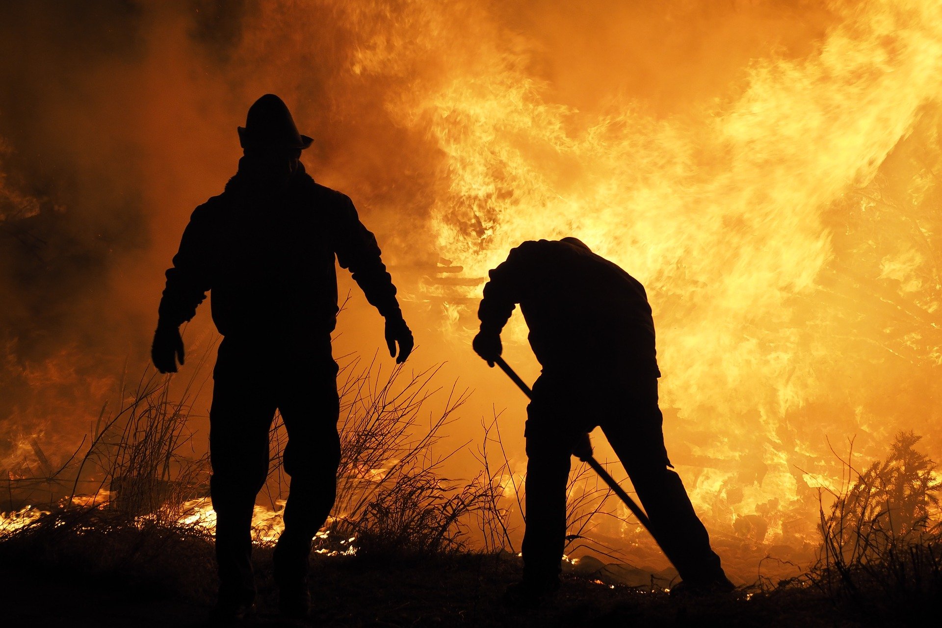 Waldbrand_Klimawandel
