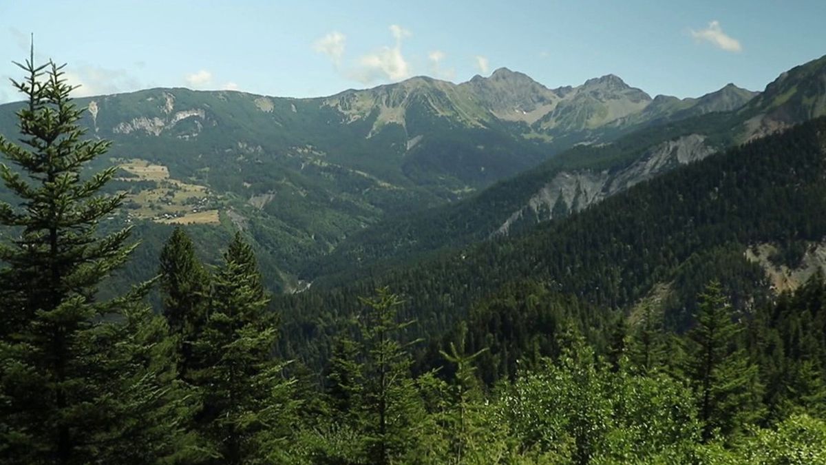 Hautes-Alpes: Mehrere Menschen verschwinden auf mysteriöse Weise im Boscodon-Wald