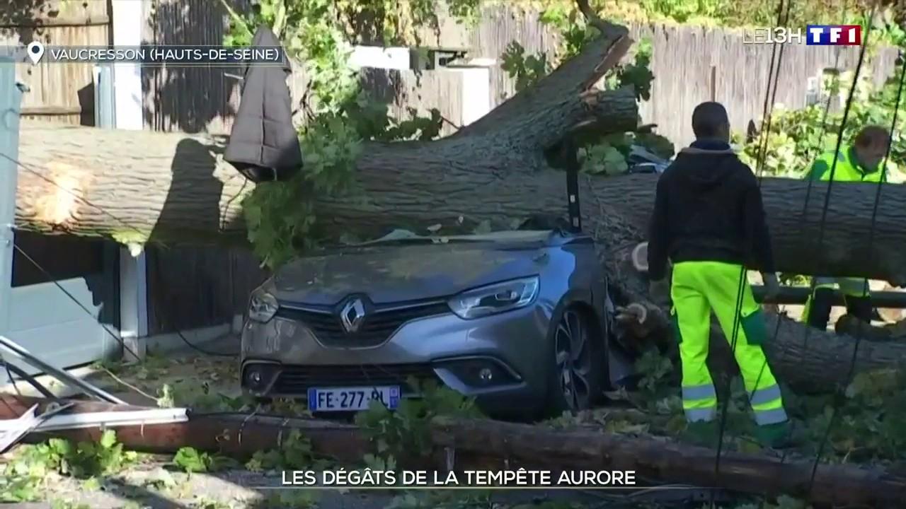Sturm Aurora: 120.000 Haushalte am Mittag immer noch ohne Strom