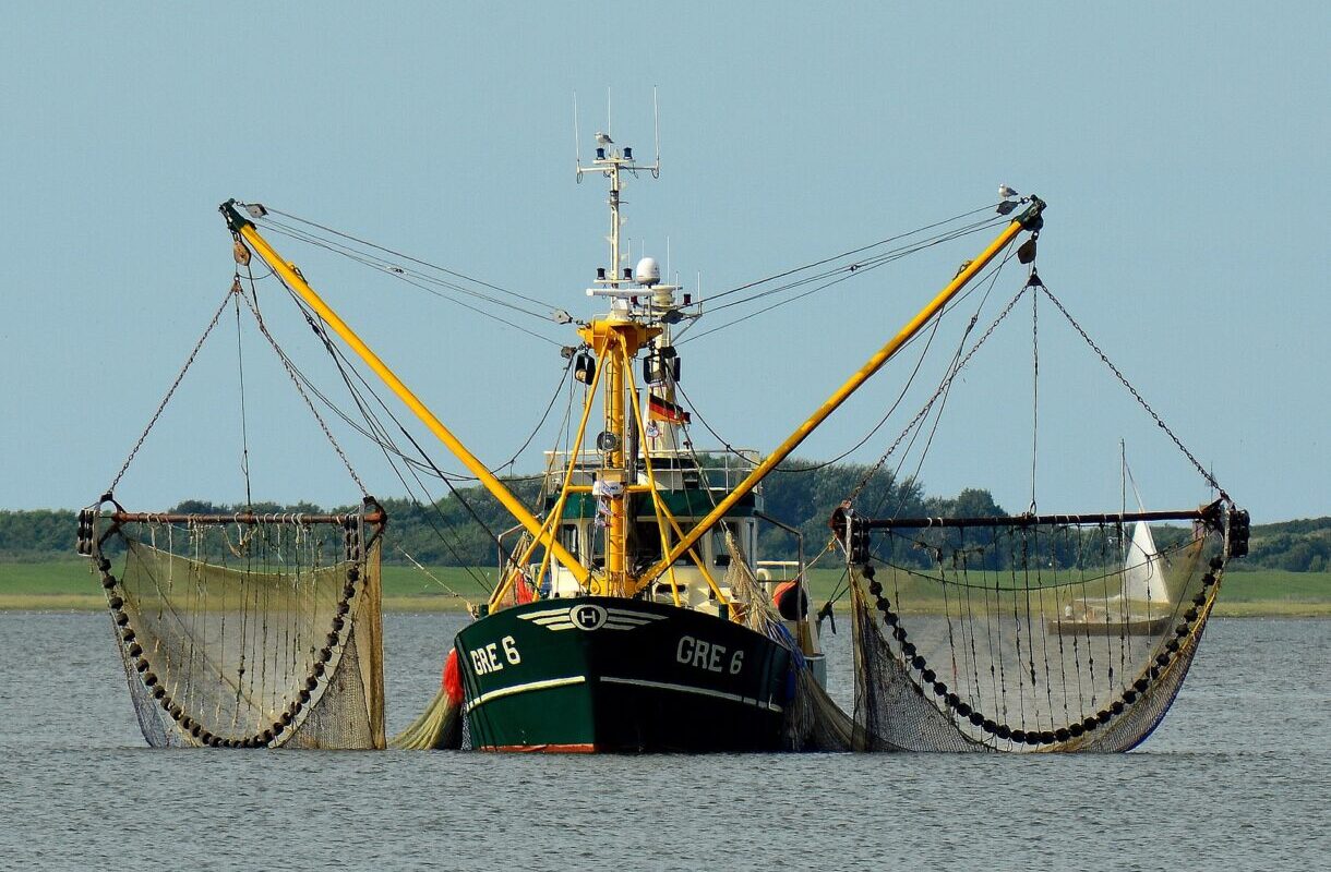 Fischerei
