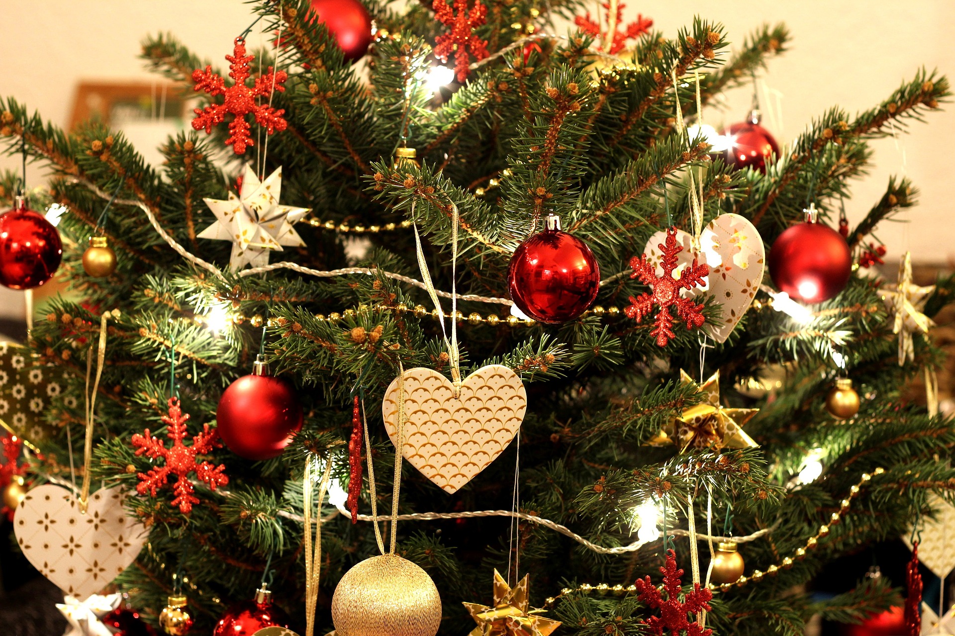 Was tun mit dem Weihnachtsbaum nach den Feiertagen?