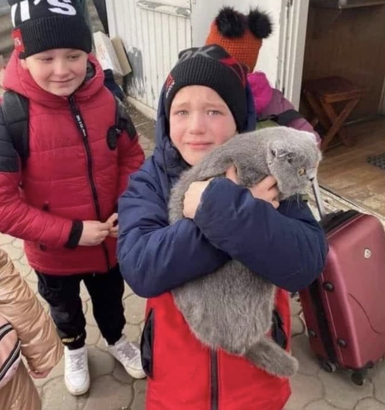 Flüchtlinge_Kinder_Ukraine