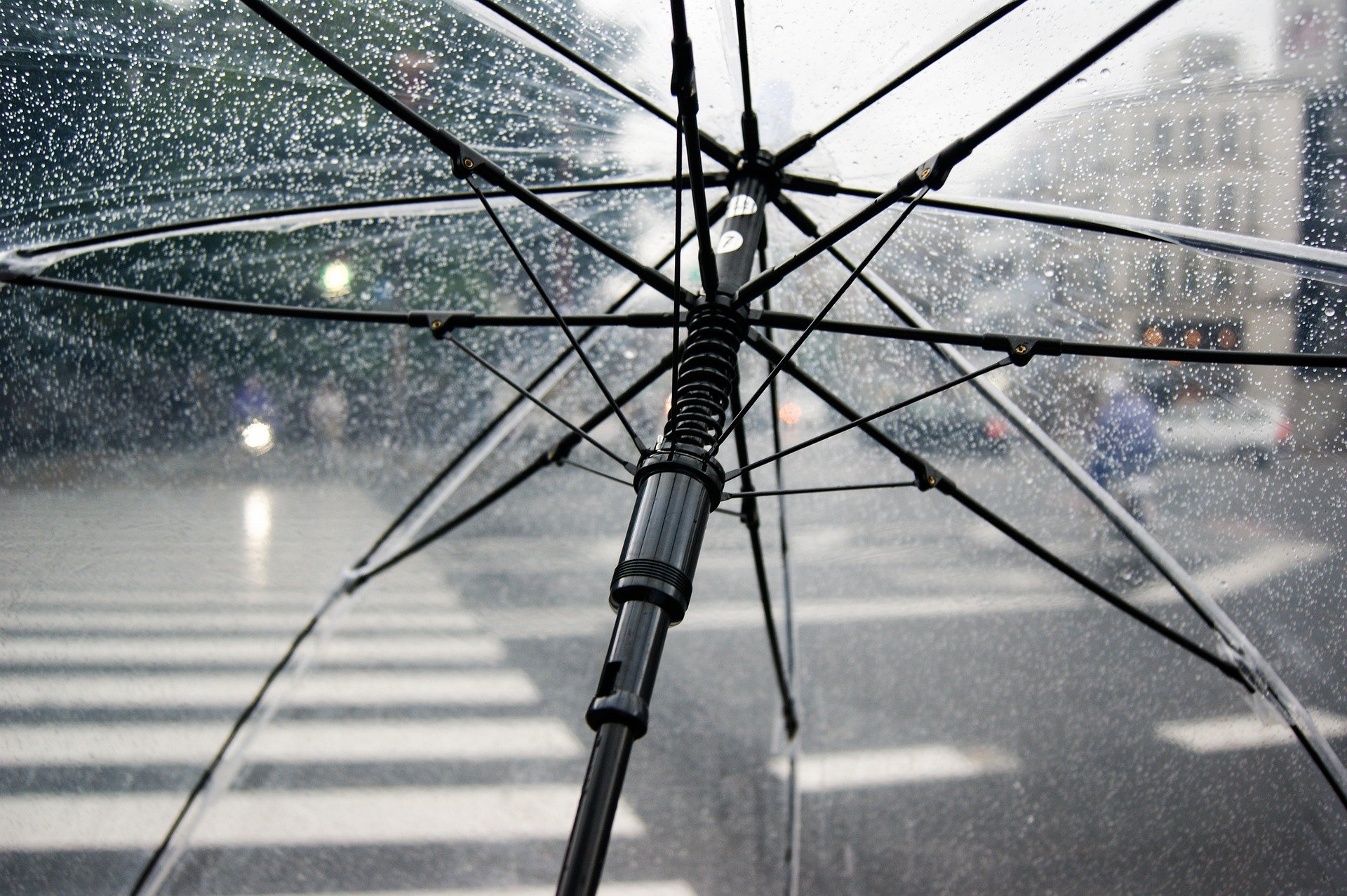 Regenschirm