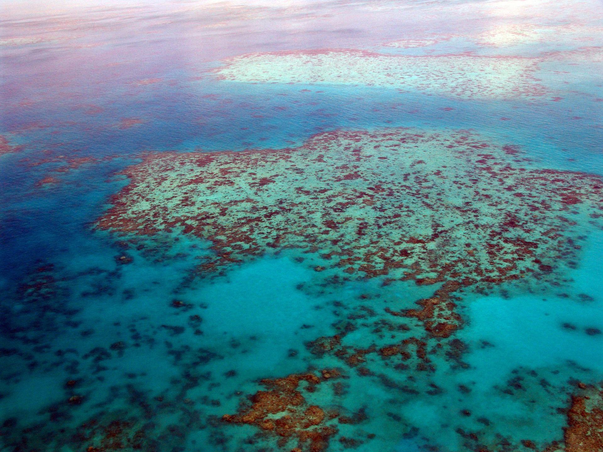 Australien: 91% des Great Barrier Reefs bleichen aus