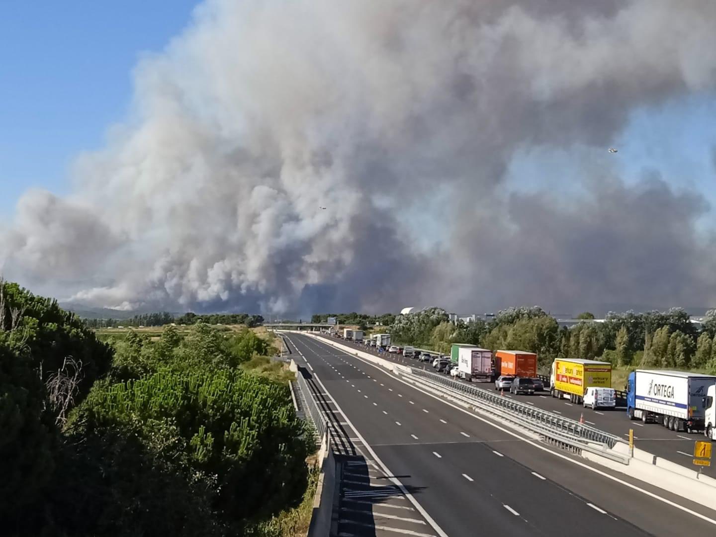 Waldbrand_Autobahn