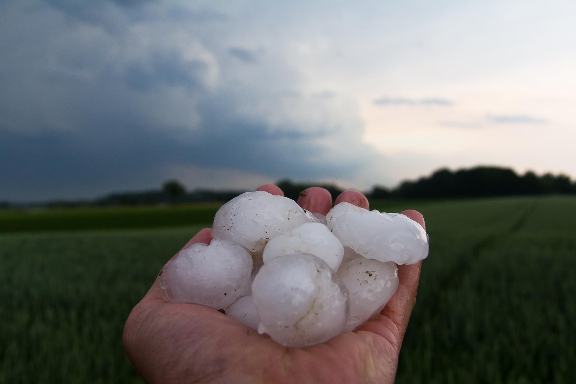 Unwetter: Hagel verursachte schwere Schäden in den französischen Weinbergen