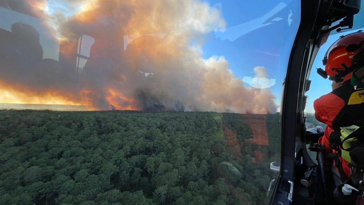 Waldbrände_Gironde