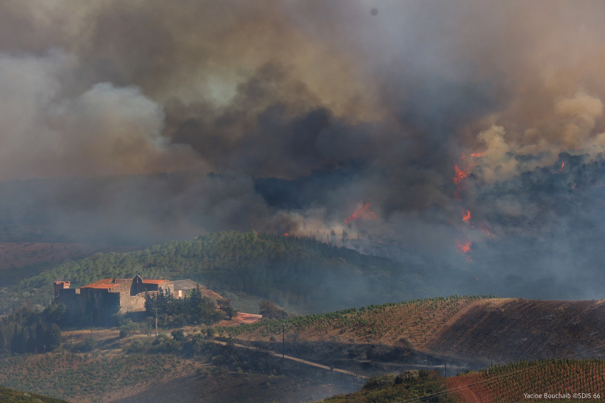 Feuer_Calce