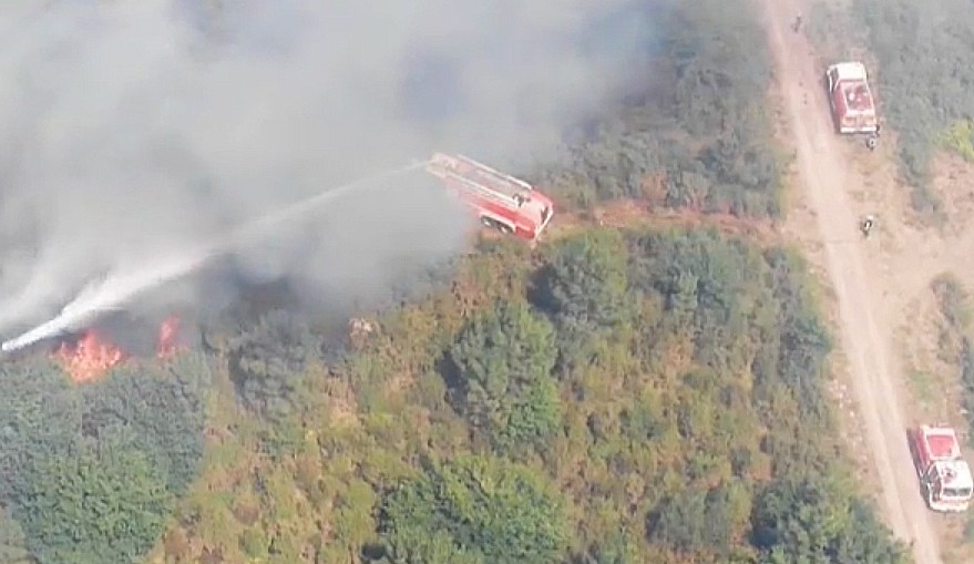 Waldbrand_Gironde
