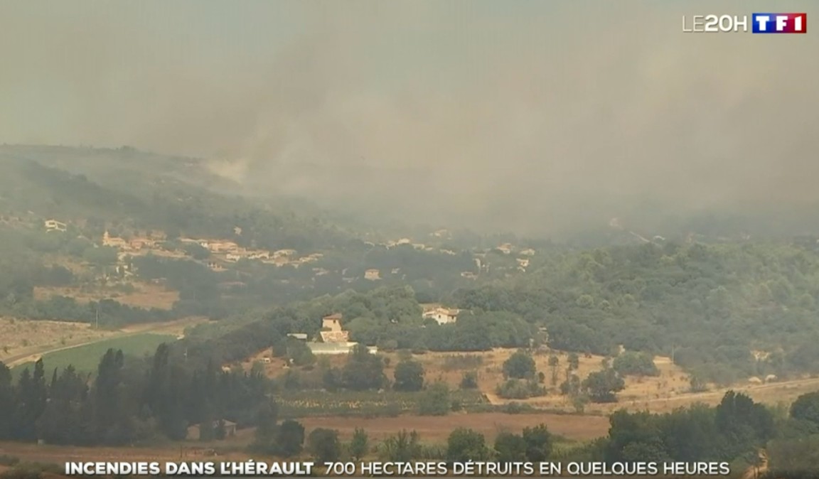 Feuer im Hérault: Brand bleibt wegen des Windes gefährlich aber breitet sich nicht weiter aus