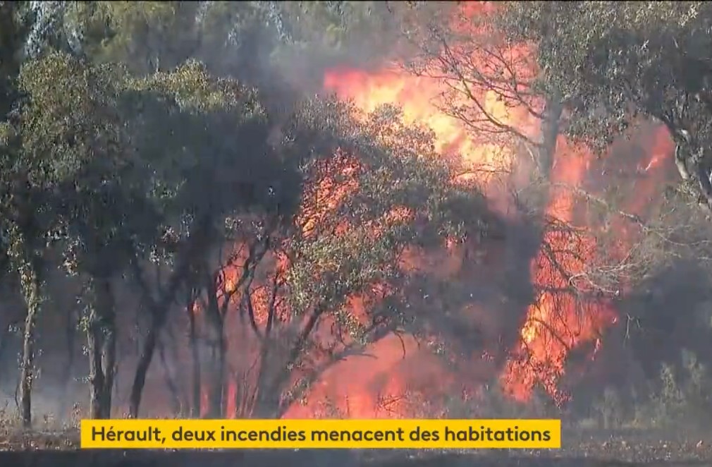 Waldbrand_Herault