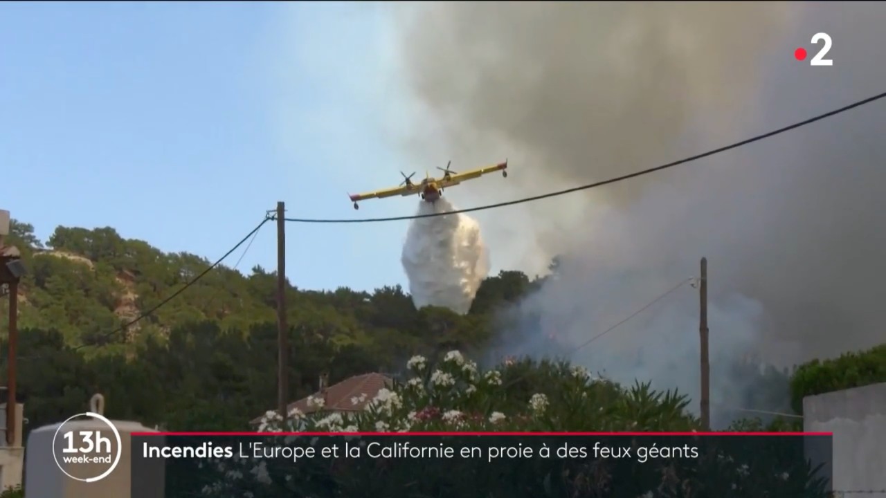 Waldbrände_in_Europa