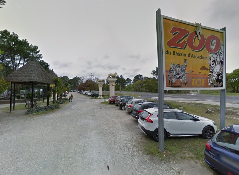 Brände in der Gironde: Ein Dutzend Tiere starben während der Evakuierung des Zoos in der Bucht von Arcachon