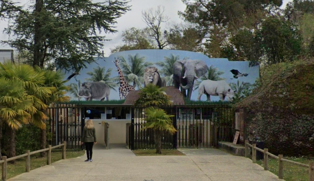 Brände in der Gironde: Auch die Tiere aus dem Zoo müssen evakuiert werden