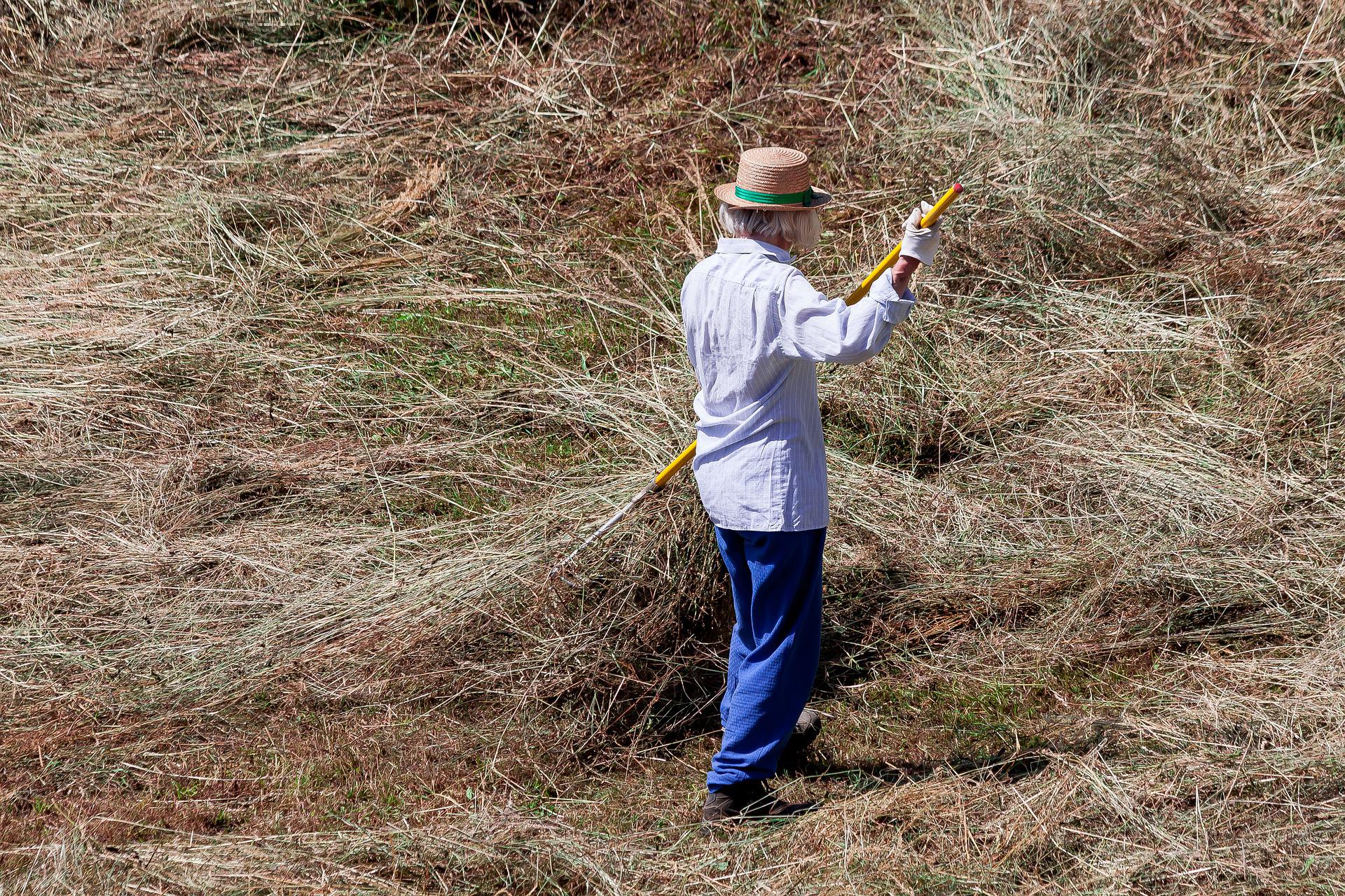 Landwirtschaft_Dürre