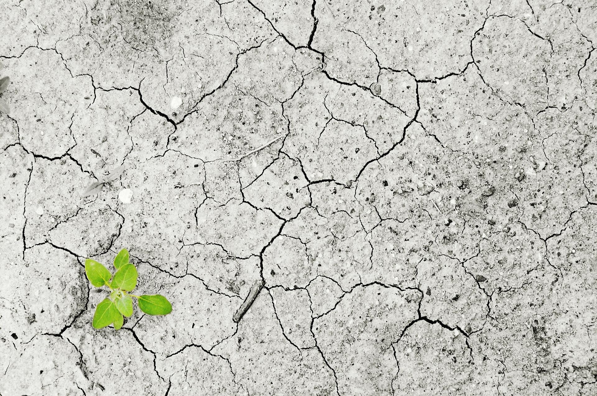 Trockenheit_Klimawandel