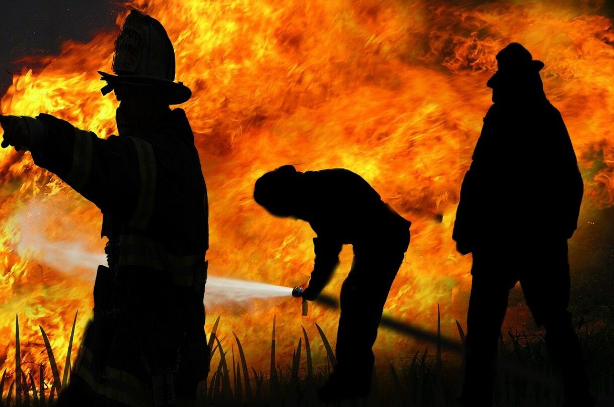 Portugal in Flammen: Der größte Waldbrand der Landesgeschichte verwüstet 64.000 Hektar