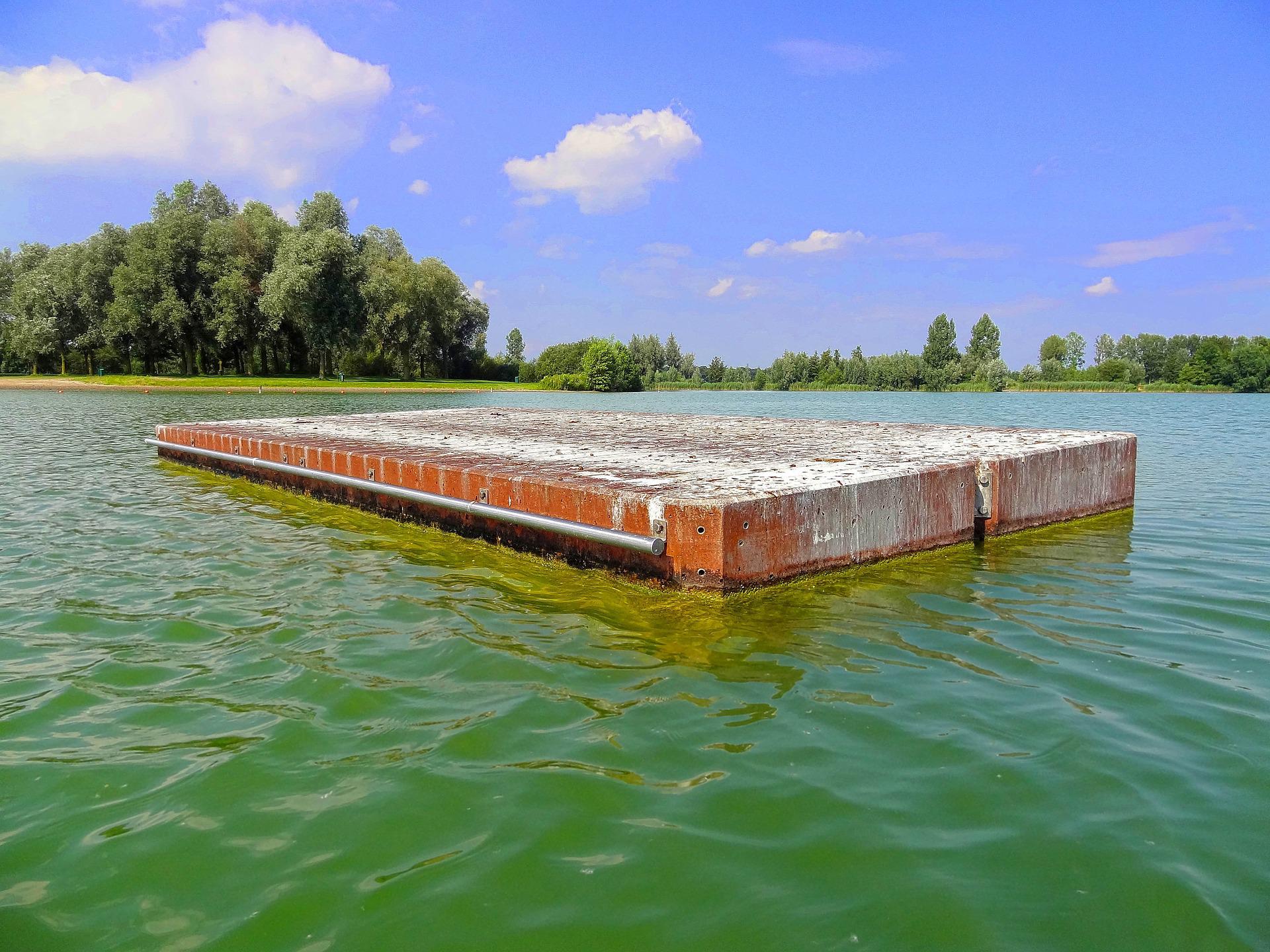 Globale Erwärmung: Die „Blaualge“ – ein Bakterium bedroht die Küsten