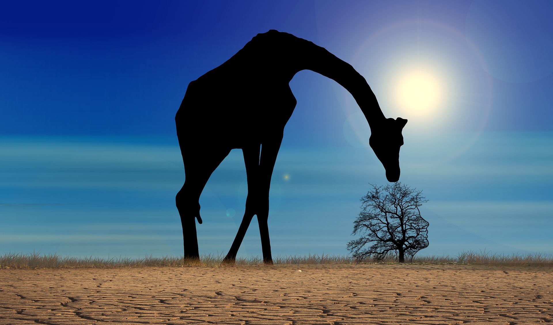 Hitze_aus_Afrika