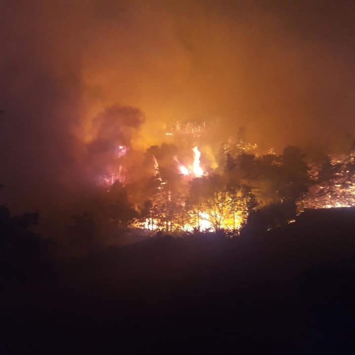 Waldbrand_Aveyron