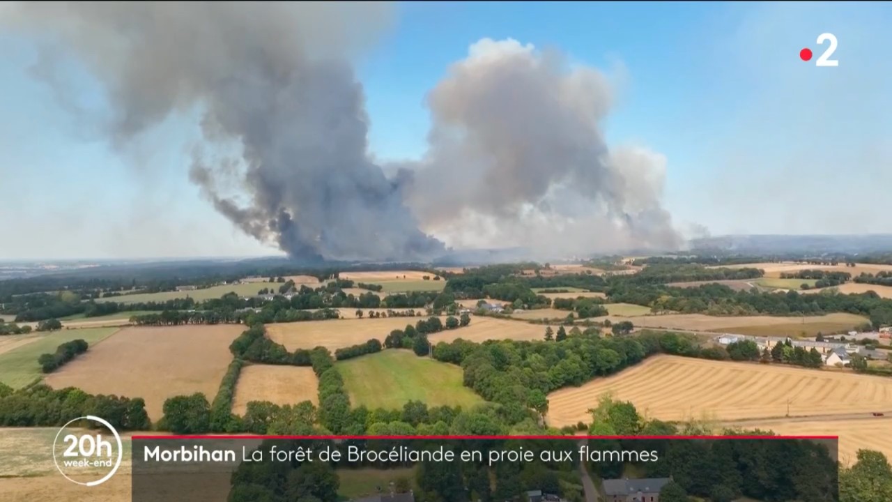 Feuer in der Bretagne: Das Juwel der Region, der Wald von Brocéliande, geht in Flammen auf