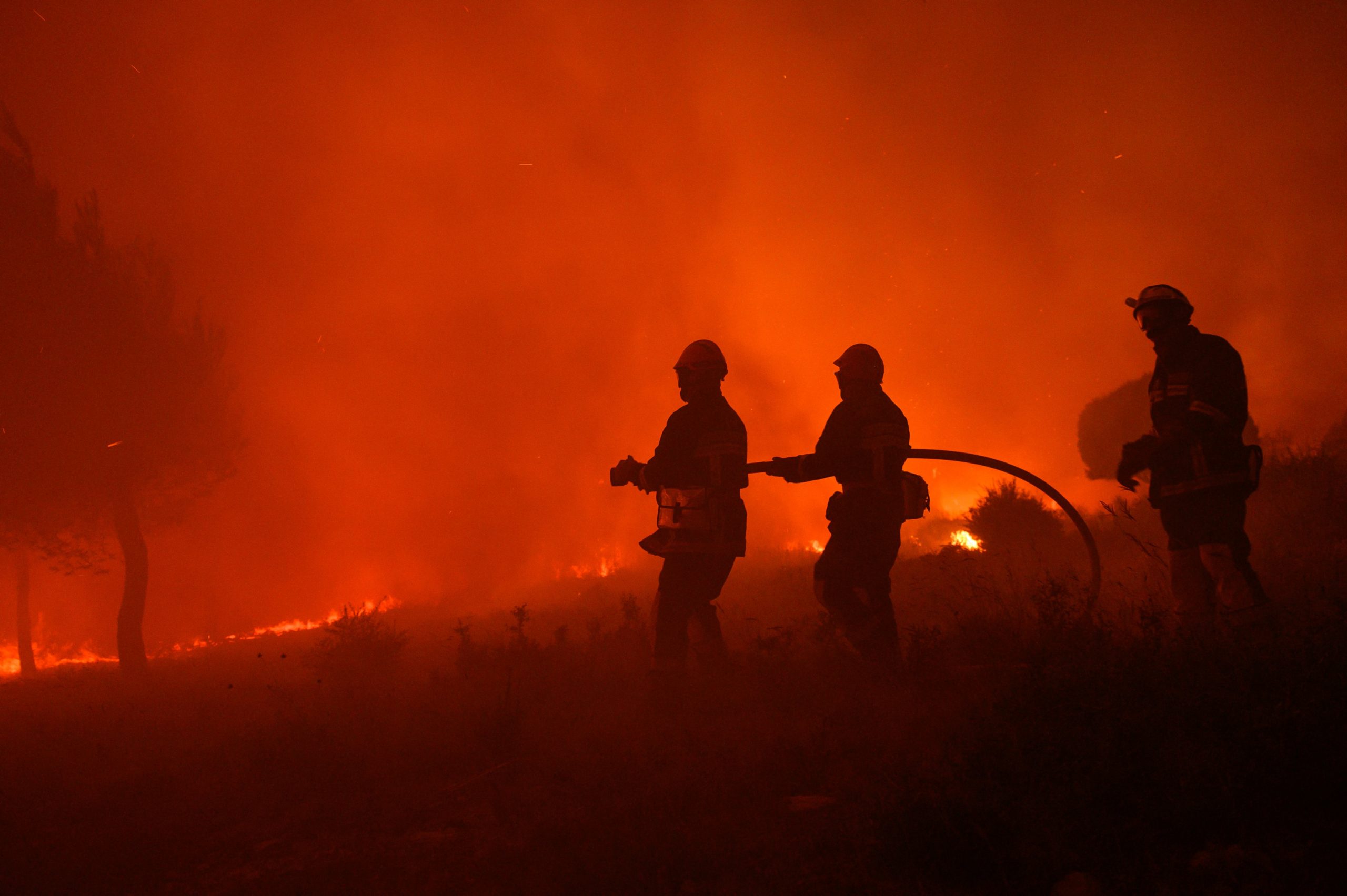 Feuer zwischen Lozère und Aveyron: 700 Hektar verbrannt – 3.000 Menschen in der Nacht evakuiert