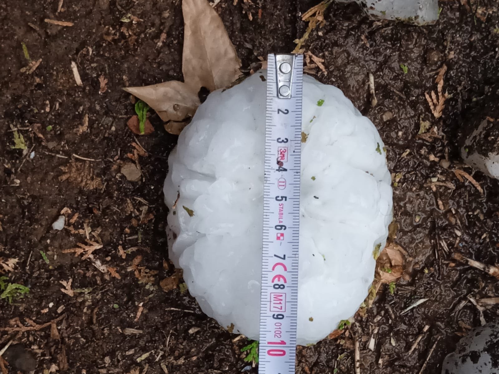 Monster-Hagel
