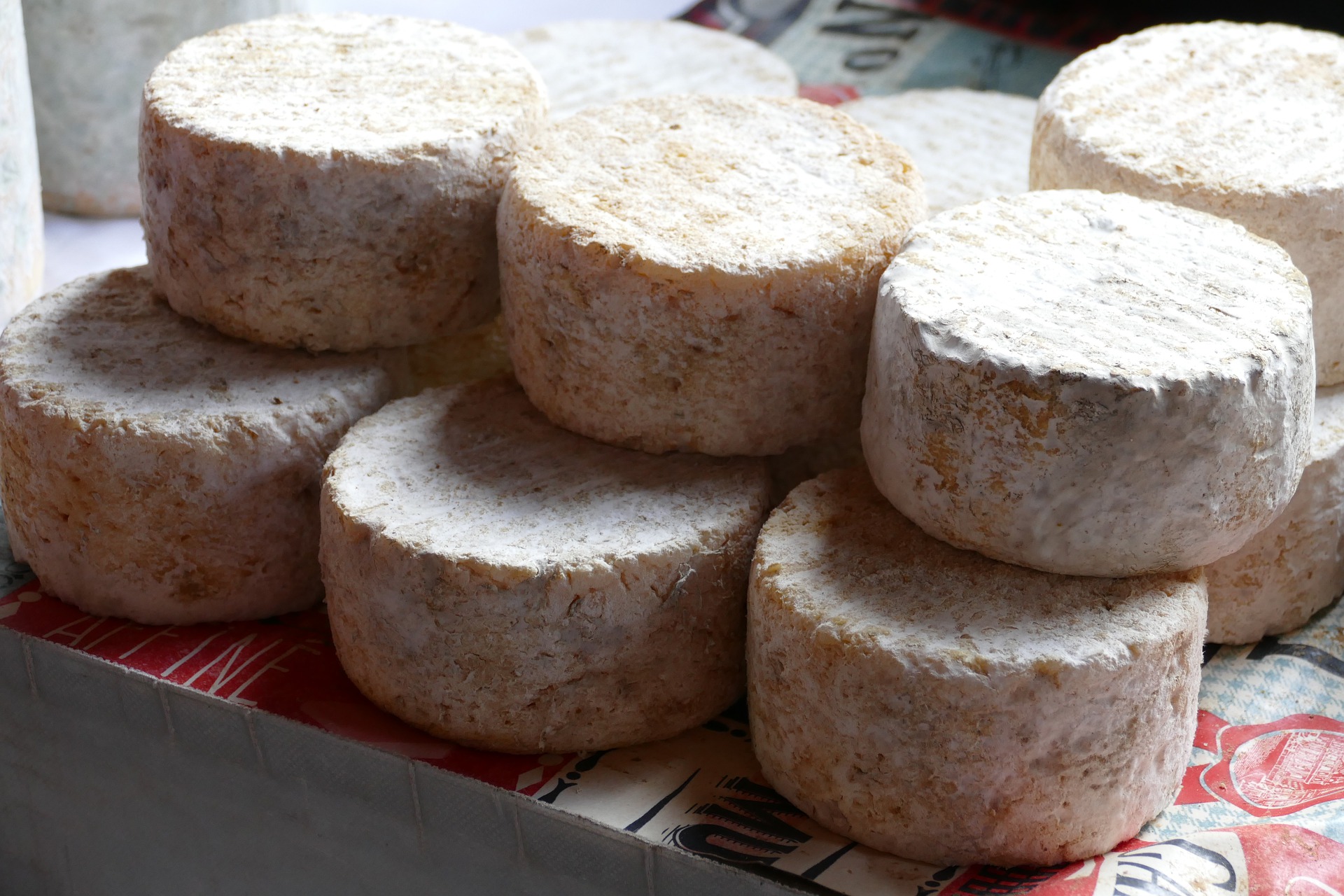 Käse