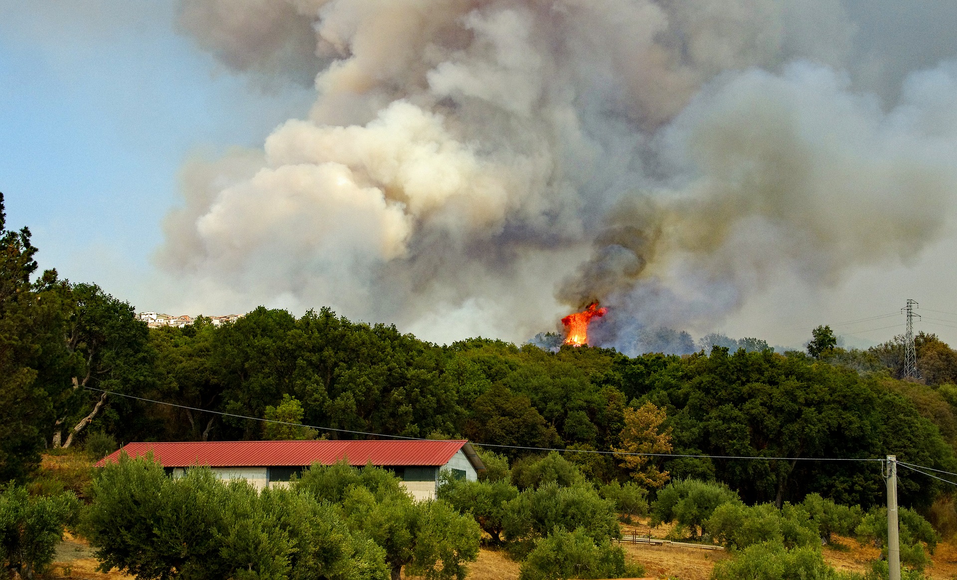 Waldbrand_Haus