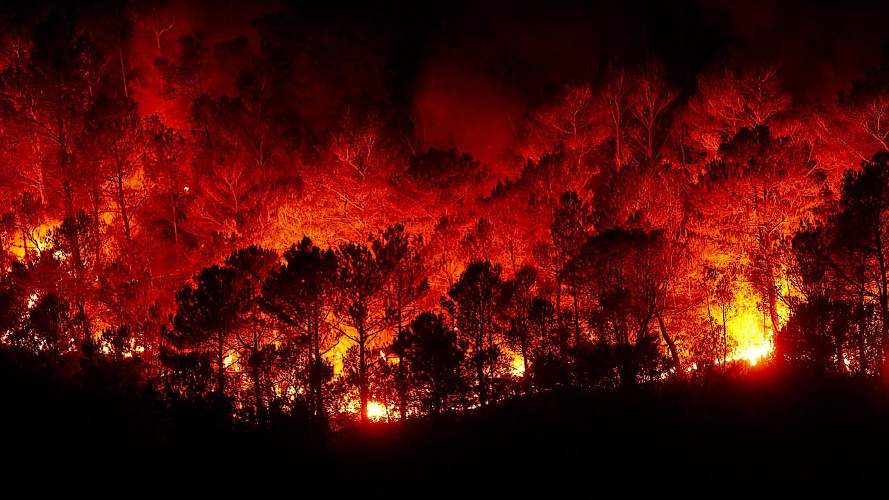 Waldbrand