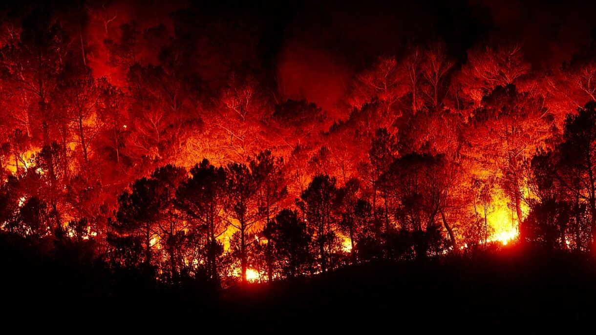 Portugal in Flammen: Die 2024er Waldbrände und der Klimawandel