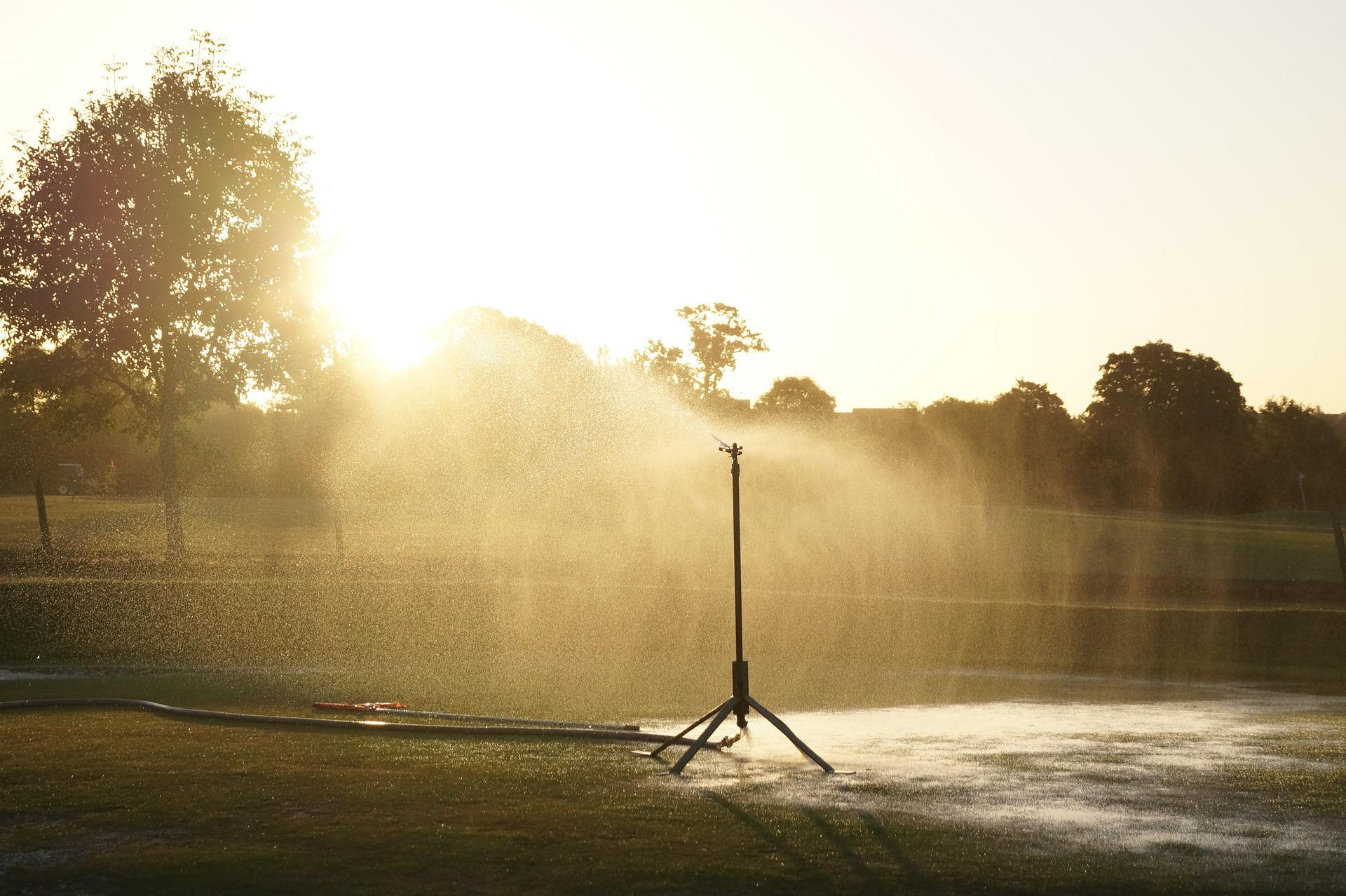 Wasserknappheit: Ausnahmegenehmigung für die Bewässerung von Golfplätzen sorgt für Kritik