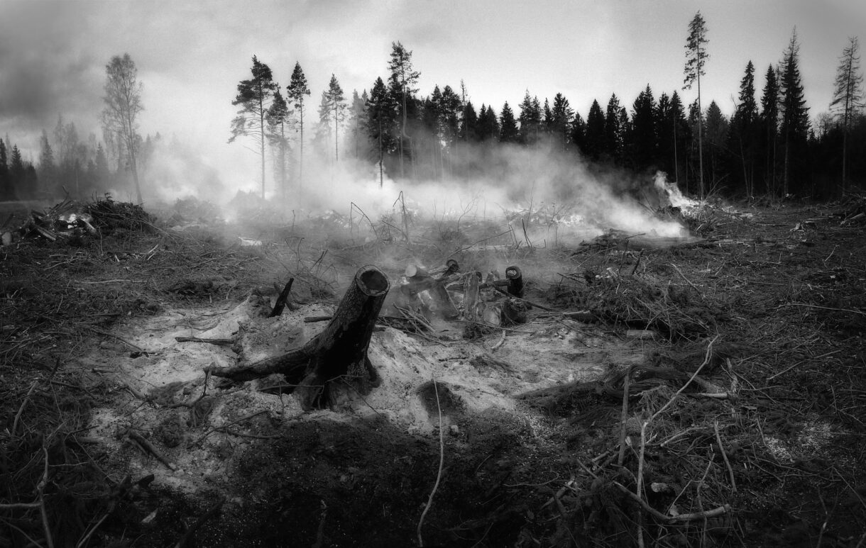 Erster großer Waldbrand des Jahres erschüttert die Pyrénées-Orientales