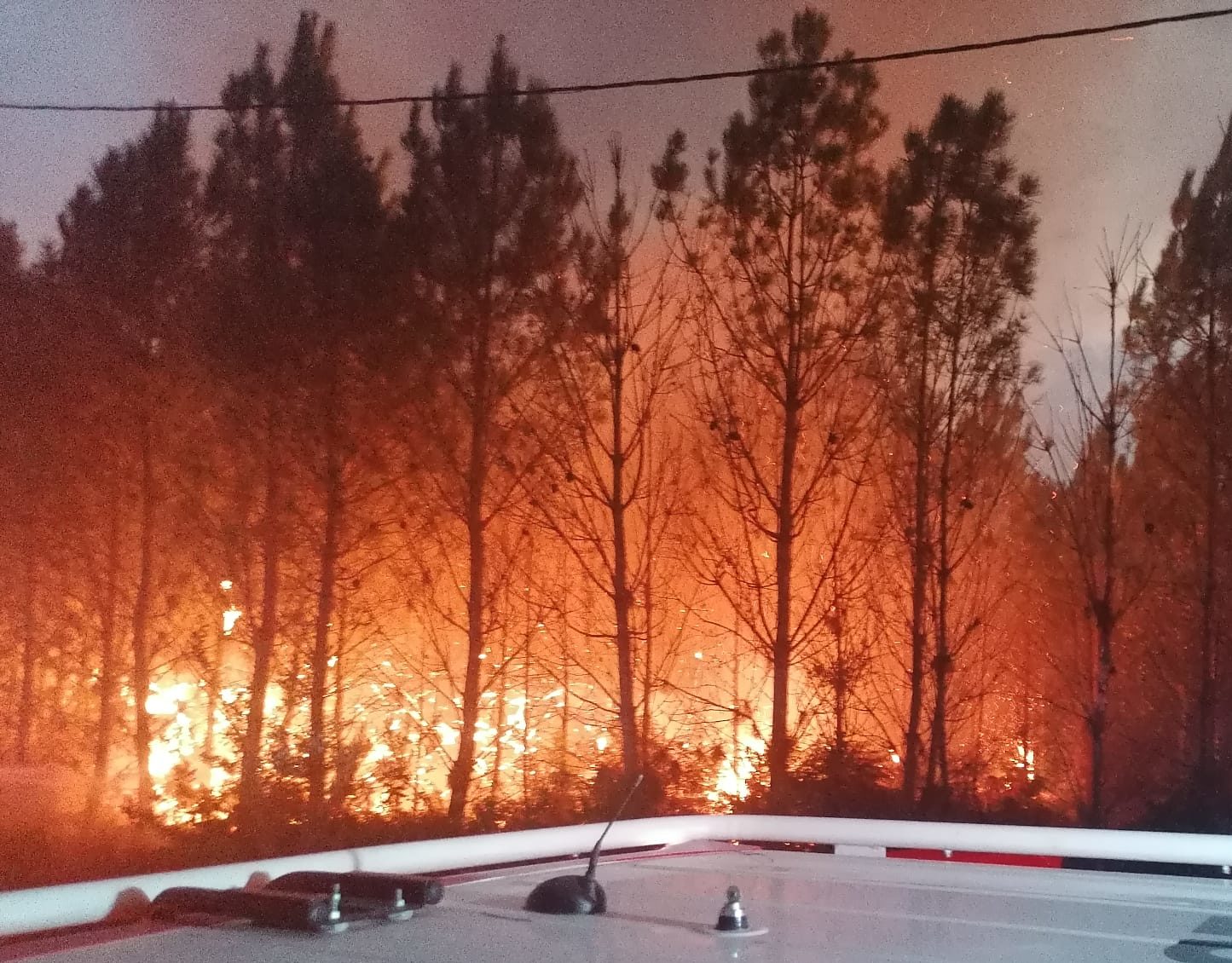Waldbrand