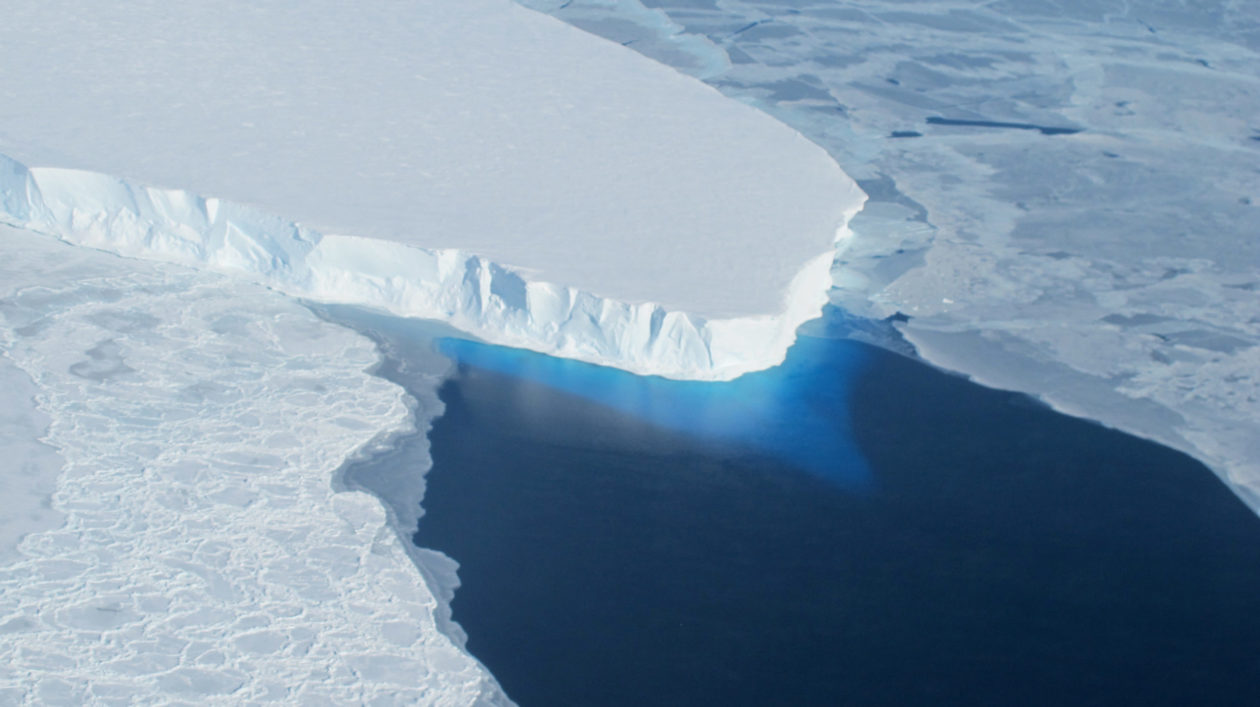 „Gletscher der Apokalypse“: Wissenschaftler warnen vor dem schnellen Schmelzen von Thwaites und seinen Folgen