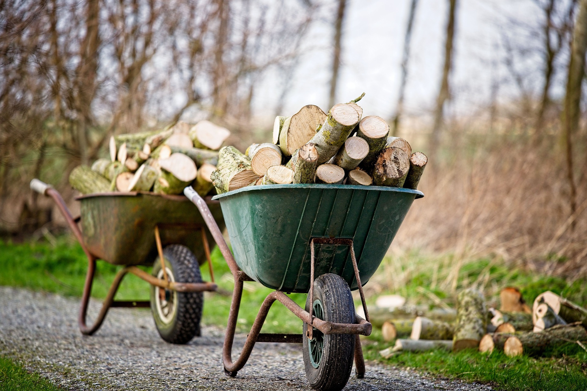 Holzpreise: Franzosen wollen ihre Holzvorräte für den Kamin auffüllen