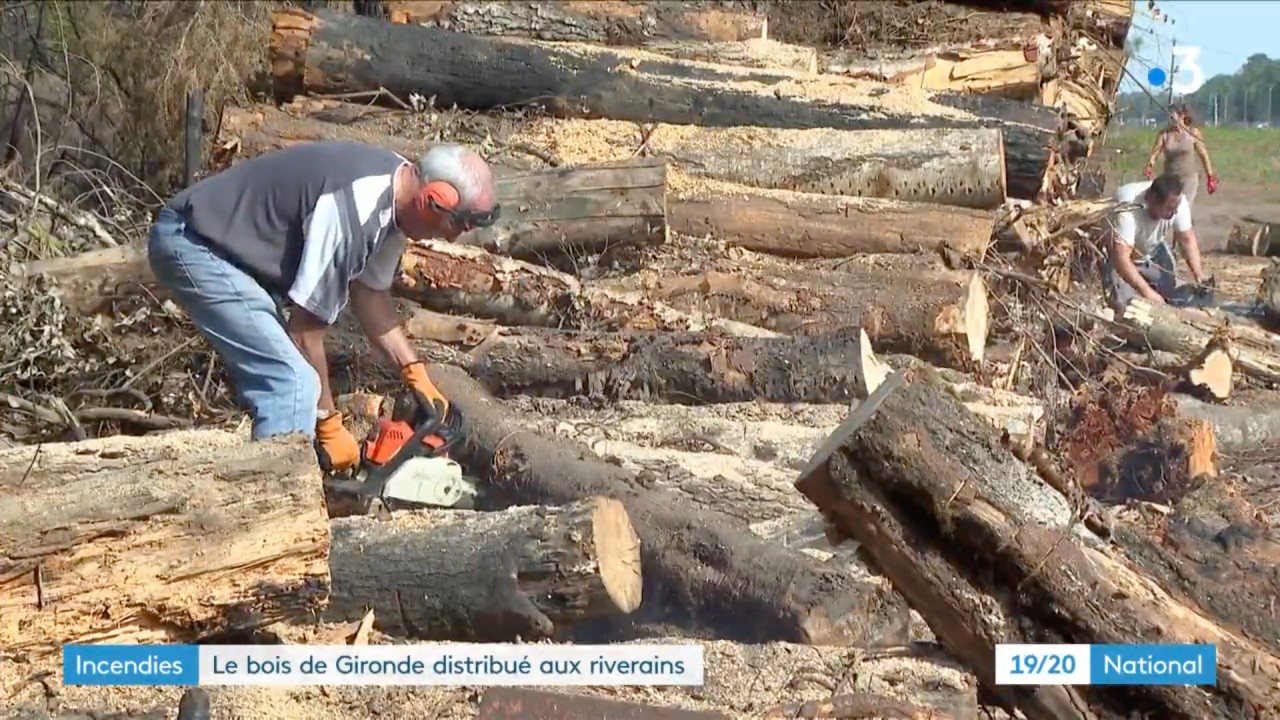 Brände in der Gironde: Anwohner bekommen jetzt kostenloses Holz