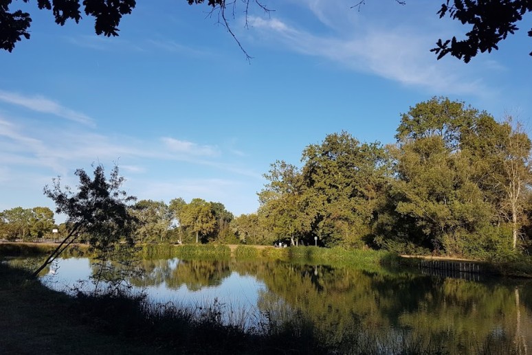 82-jährige Frau tot in einem See in Tournefeuille bei Toulouse aufgefunden