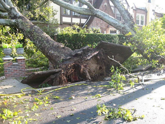 Unwetter: Tornado trifft Saint-Sulpice-La-Forêt in der Bretagne
