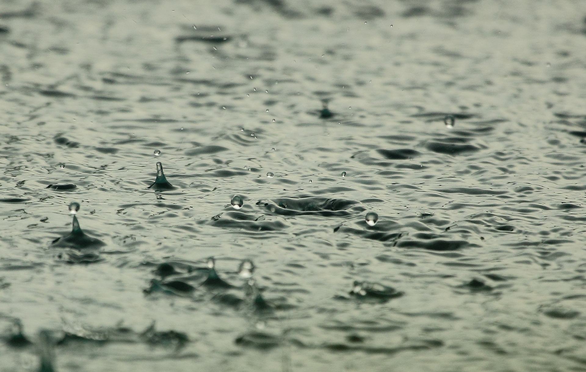 Wetter: Starke Regenfälle in der Ardèche, der Drôme, dem Gard und Vaucluse erwartet