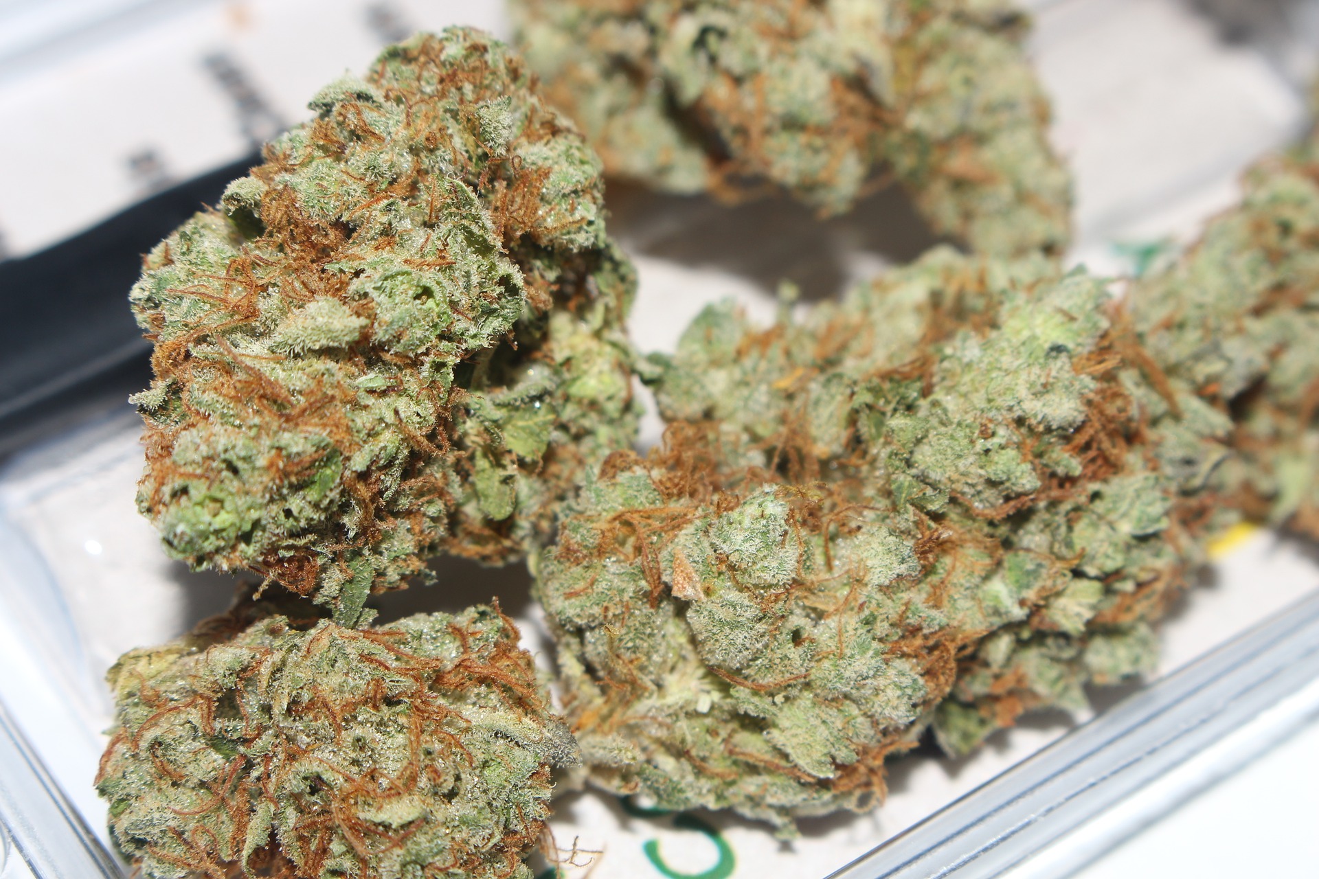 Drogen: 1.5 Tonnen Cannabisharz vom Zoll in Perpignan beschlagnahmt