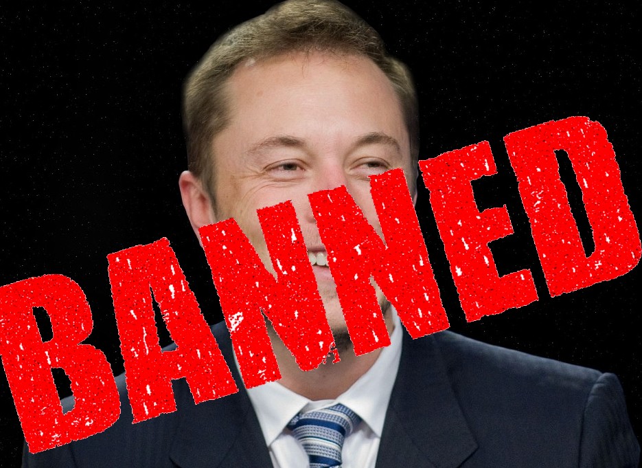 Musk_verliert_Umfrage
