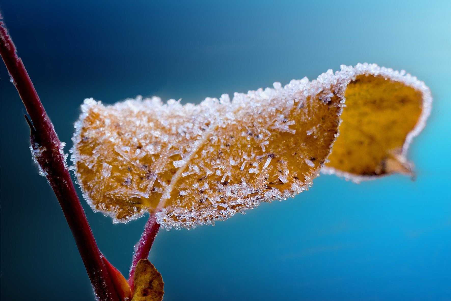 Wetter: Temperaturen unter Null und bedeckter Himmel – die Vorhersage für diese Woche